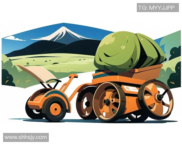 足球传奇再现：经典球星面容变身漫画风格，展现别样魅力与精彩瞬间