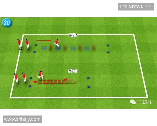 揭秘足球球星高效训练动作全面提升速度力量与技巧
